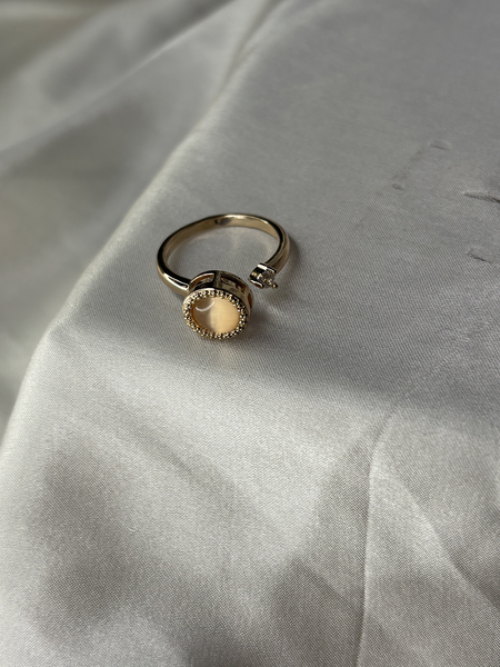 Orbit Rose Gold Spinner Ring