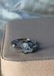Blossom Grace Spinner Ring